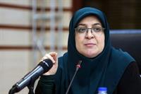 دولت به دنبال کنترل قیمت‌هاست