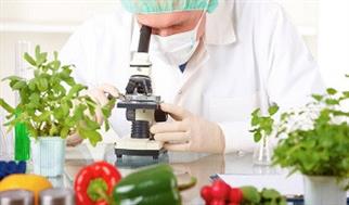 ابزارهای ساده و قابل‌حمل، راهی نو برای ارتقای ایمنی غذایی