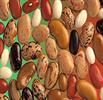 قیمت لوبیا چیتی به ۲۴۵ هزارتومان رسید