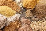 سهمیه دو ماهه ذرت و کنجاله سویای واحدهای پرورش طیور ابلاغ شد