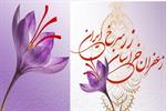 دومین جشنواره روز ملی زعفران در مشهد برگزار می‌شود