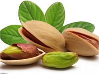 خیز آرژانتین برای رقابت در بازار جهانی پسته