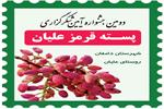 دومین جشنواره پسته قرمز علیان؛ تلاقی سنت، برکت و هنر در قلب دامغان