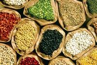 افزایش ۳۰تا ۳۵ درصدی قیمت حبوبات در بازار/ لوبیا چیتی به ۴۲۰ هزار تومان رسید