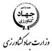 تسهیل واردات کالاهای اساسی با حذف محدودیت ثبت سفارش و بسته جدید ارزی وزارت جهاد کشاورزی