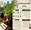 فراخوان دومین جشنواره ملی رسانه‌ای چای اعلام شد/ از مهلت ارسال آثار تا محورهای ویژه