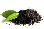 افزایش سطح زیر کشت چای در گیلان و مازندران به ۲۲ هزار هکتار