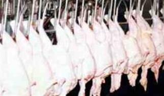 عرضه ۱۷۴ هزار و ۸۵۴ تن گوشت طیور در خرداد ۱۴۰۵