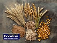 راهکار کاهش ضایعات حوزه آرد و گندم چیست؟