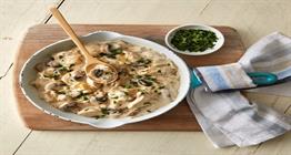 طرز تهیه بیف استراگانف مرغ با قارچ؛ یک غذای خامه‌ای و خوش‌عطر برای هر سلیقه