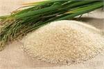 ماجرای نوسان بازار برنج چیست؟