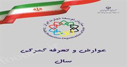 افزایش عوارض و حقوق ورودی در سال دوم قانون ساماندهی تجارت مرزی ابلاغ شد