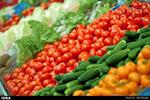 تولید محصولات جالیزی متوقف نمی‌شود