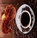 معجزه قهوه گانودرما در کاهش استرس