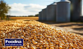 وضعیت تامین نهاده‌های دامی مطلوب است/ اجازه اختلال در تامین کالاهای اساسی را نخواهیم داد