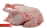 توزیع بیش از ۱۱۰۰ تن گوشت مرغ از مازندران در بازار کشوری