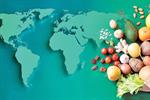 فرصت تاریخی ایران برای تبدیل شدن به هاب امنیت غذایی منطقه