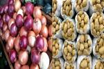 هدفگذاری تولید ۲.۱ میلیون تن گوجه فرنگی، سیب زمینی و پیاز در طرح استمرار