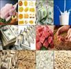 واردکنندگان کالا‌های اساسی خواستار اجرای پرداخت ۵۰ درصد مطالبات هستند
