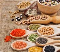 مشکلی برای تامین حبوبات ماه رمضان نداریم| قیمت هرکیلو لوبیا چیتی ۴۵۰ هزارتومان