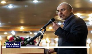 چرا با وجود منابع غنی انرژی، هنوز دچار بحران ناترازی هستیم؟/ قالیباف: شرمنده تولیدکنندگان انرژی‌ام
