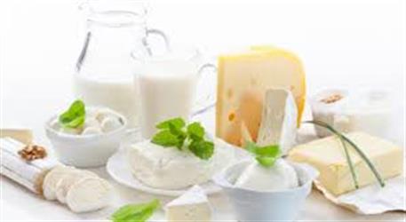 مصرف لبنیات در ایران کمتر از میزان توصیه‌شده / پیشنهاد جدید وزارت بهداشت به مجلس