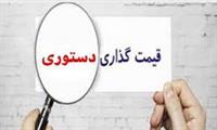 قیمت‌گذاری دستوری باعث کاهش سرعت بازگشت ارز صادراتی شده است