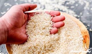 واردات برنج افزایش یافت