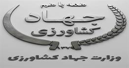 اطلاعیه وزارت جهاد کشاورزی درباره نهاده‌های دامی؛ «هیچ نگرانی‌ای وجود ندارد»