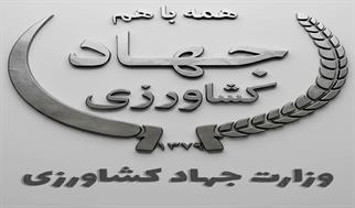 دستورالعمل وزارت جهاد با هدف استفاده از ظرفیت واردکنندگان در جهت خودکفایی دانه‌های روغنی ابلاغ شد