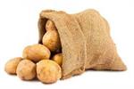 کمبود و گرانی دوباره سیب زمینی در بازار