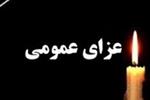 هیئت دولت 40 روز عزای عمومی و 7 روز تعطیلی اعلام کرد