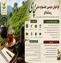 فراخوان دومین جشنواره ملی رسانه‌ای چای اعلام شد/ از مهلت ارسال آثار تا محورهای ویژه