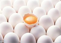 نوسان قیمتی بازار تخم‌مرغ روزانه شد