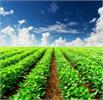 FAO launches Int'l Conference on Global Soil Threats in Iran