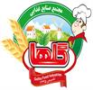 گلهای نوین همگام با فناوری، ترکیبی از اصالت و نوآوری