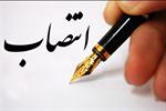 سرپرست جدید دفتر بازرگانی داخلی و کالای کشاورزی منصوب شد