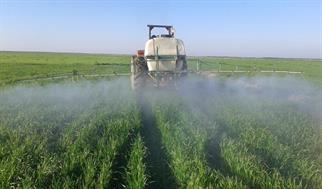 خطر پنهان روی محصولات کشاورزی؛ زنگ هشدار درباره یک قارچ‌کش پرمصرف در کشاورزی