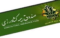 سقف ۳۰ همتی سهم دولت برای صندوق بیمه کشاورزی تصویب شد
