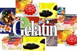 آیا ژلاتین حیوانی در پاستیل و داروهای خوراکی حلال است؟