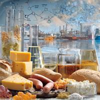 چگونه فسفات‌ها کیفیت محصولات غذایی را متحول می‌کنند؟
