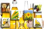 چالش‌های روغن‌کشی از کمبود مواد اولیه تا زمان‌بر شدن تصمیمات