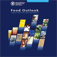 قیمت جهانی مواد غذایی بالاتر رفت