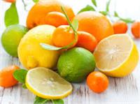 صادرات ۲۰۰ میلیون دلاری محصولات تازه و فرآوری شده مرکبات