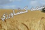 جزئیات بیمه گندم کشاورزان اعلام شد