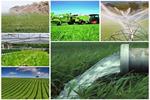 توسعه گلخانه به کمک بهره وری آب و خودکفایی می‌آید