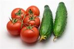 خیار و گوجه هم شناسنامه می‌گیرند