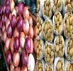 توسعه کشت قراردادی در زنجیره تأمین سه محصول راهبردی، اولویت سال ۱۴۰۴ است