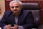 ۲۵ هزار تن برگ سبز چای خریداری شد