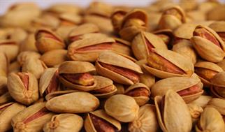 ظرفیت‌های صادرات پسته استان کرمان مورد توجه فائو قرار گرفت